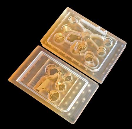 body-on-a-chip