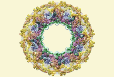 A map showing how the 552 pieces of the pore complex fit together could inform research into numerous diseases