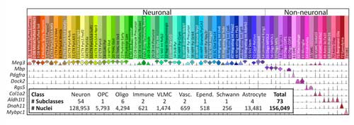 Single-Cell Transcriptome Landscape