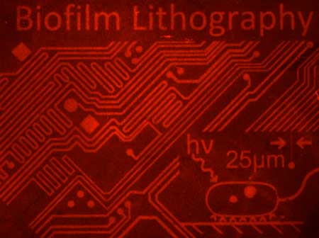 using engineered bacteria that stick to surfaces when illuminated with light