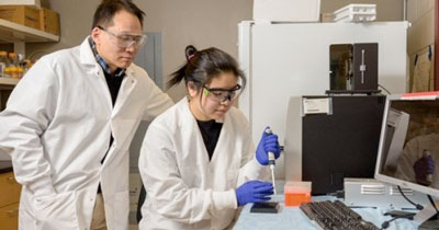Wilfred Chen (left) and Rebecca P. Chen are developing new biomolecular tools