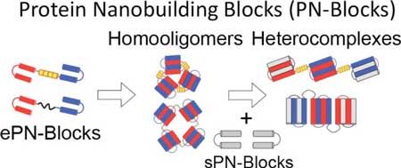 Protein Nanobuilding Blocks