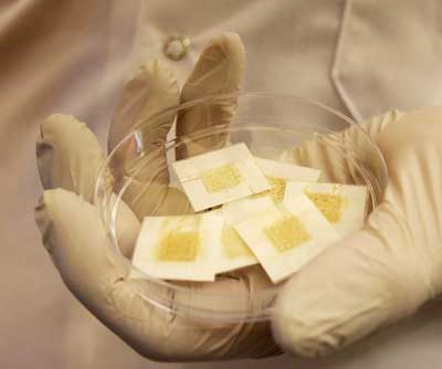 Disposable Yeast Badges