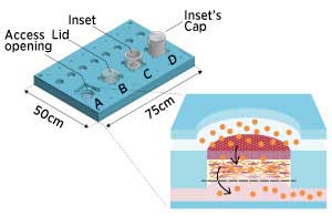 Microfluidic skin-on-a-chip device