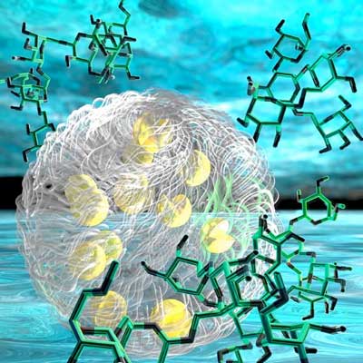 An illustration of part of a synthetic organelle without a membrane