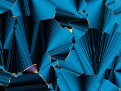 Liquid crystals formed by short RNA strands, revealed by polarized optical microscopy