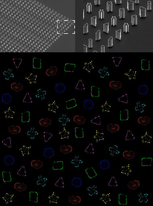 microfabricated bacteria molds in various shapes