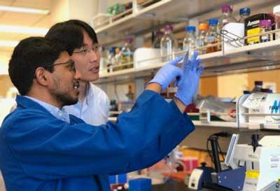 Arjun Ravikumar and Chang Liu, UCI assistant professor of biomedical engineering