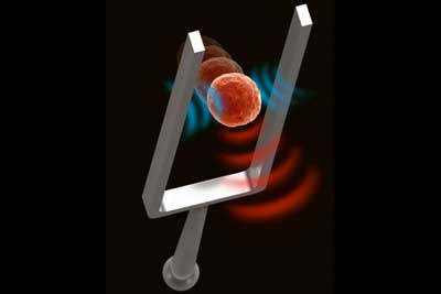 using acoustic waves to noninvasively measure the stiffness of living cells
