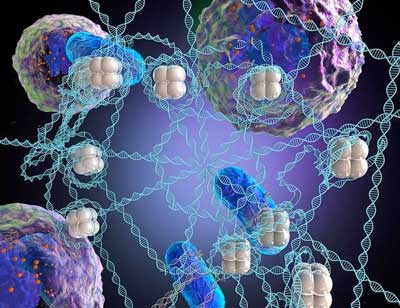 synthetic microweb that nabs bacteria