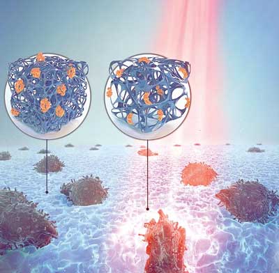 hydrogel whose stiffness and permeability to cells can be controlled with light
