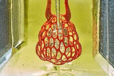 Bioprinted model of a lung-mimicking air sac with a central airway that was able to transfer oxygen to the surrounding vascular network