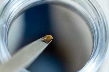 hydrogel