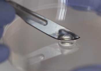 bacteria-killing gel