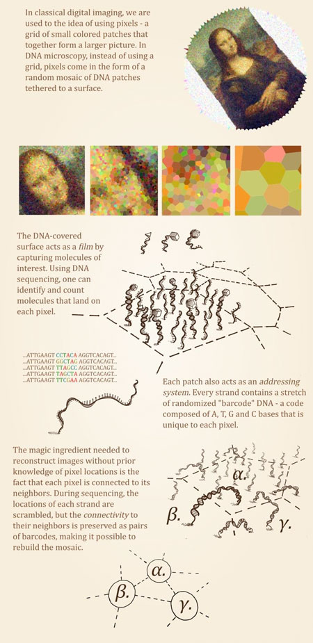 DNA microscopy