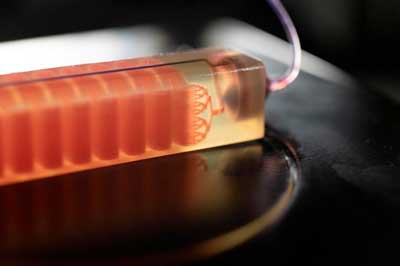 A 3D-printed blood cell trap