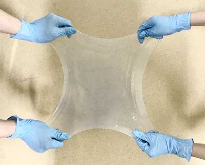 stretching a hydrogel