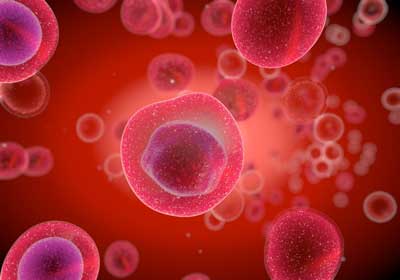 endosomes