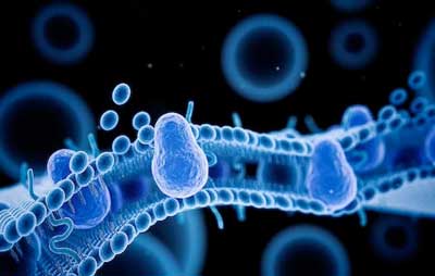 Artificial Cell