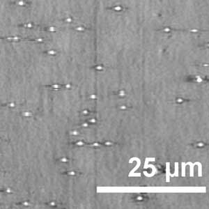PRAM microRNA Detection
