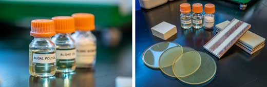 purified algae oils and converted polymers in vials (left), and several materials that can be made from the polymers (right)