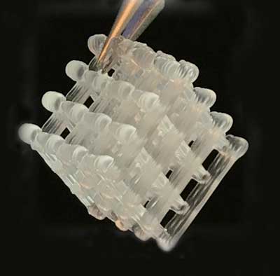 A 3D-printed hydrogel lattice