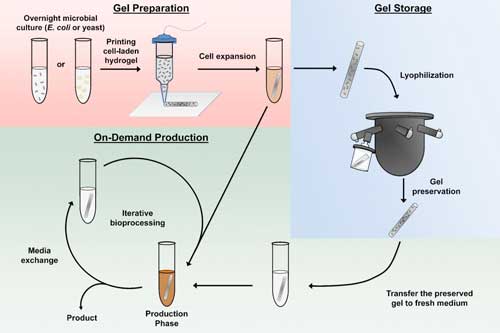 Hydrogel System Infographic