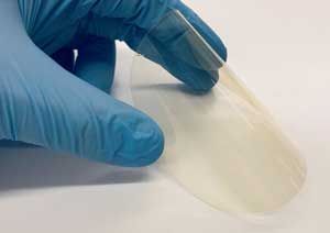 Bioplastic film