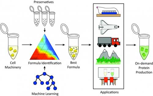 Preservative Formulations Improve Storage of Cell-Free Components at Room Temperature