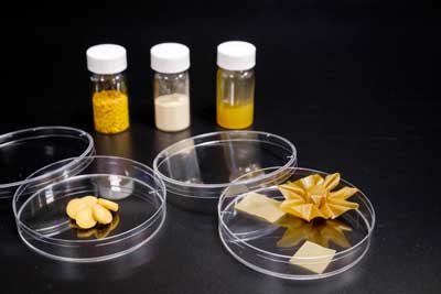 pollen-derived material