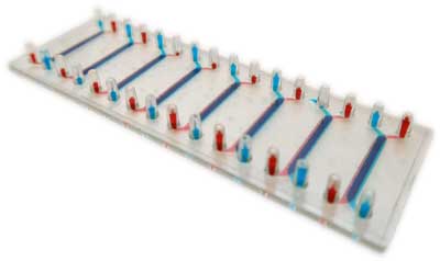 gut-on-a-chip made with double sided tape