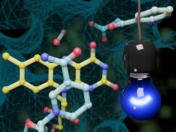 blue light triggers a special monooxygenase reaction in an enzyme