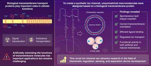 Synthetic ion channel mimics the structure and function of a biological transport protein