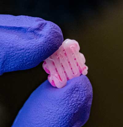 pink 3D-printed bioscaffold held between two blue gloved fingers