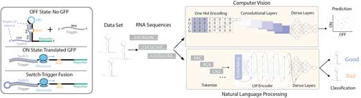 computer vision-based algorithm to analyze the toehold sequences as two-dimensional images