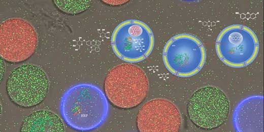 microfluidic platform to produce three different types of vesicles