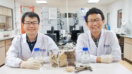 Associate Professor Yan Ning (left) and Assistant Professor Zhou Kang (right)