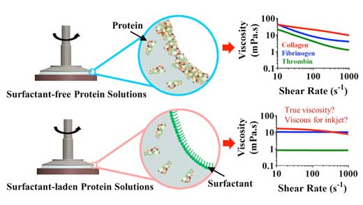 Collagen and fibrinogen in aqueous solutions form a solid layer on the surface of water, corrupting flow behavior measurements with rotational rheometers