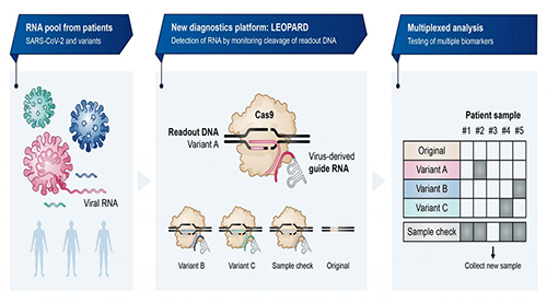 platform LEOPARD has the potential to detect a variety of disease-related biomarkers in just one test