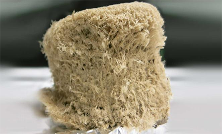 foam made from microfibrillar cellulose