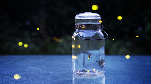 glowing fireflies