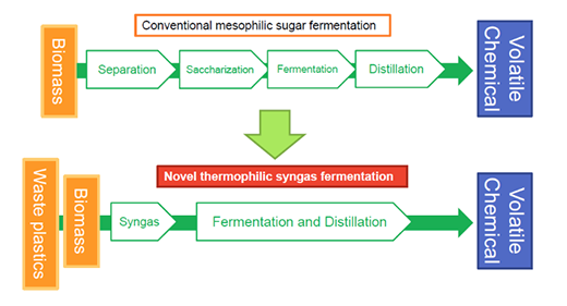 thermophilic syngas fermentation