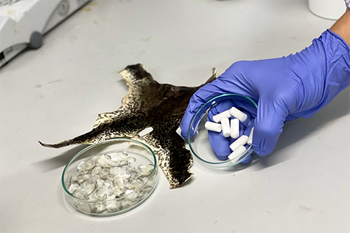 tissue repairing biomaterial from bullfrog skin and fish scales