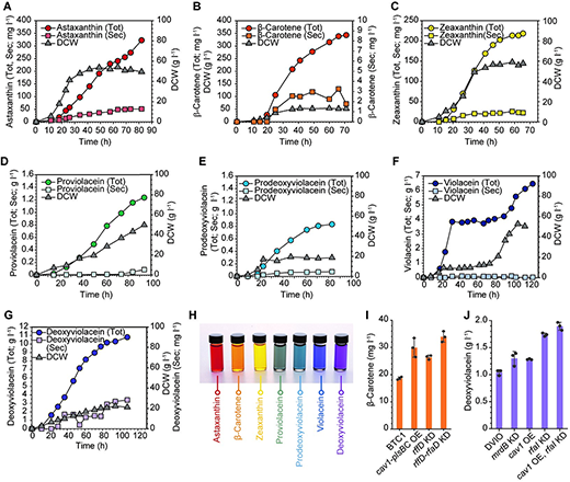 Systems metabolic engineering to produce colorants