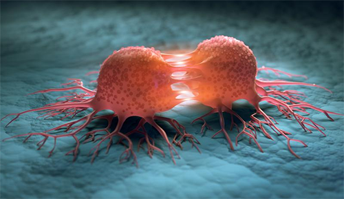A graphical representation of a dividing cancer cell