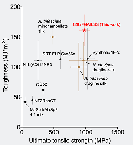 This chart compares the toughness and strength of different natural and recombinant silk fibers