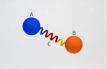 Principle of a protein bridge