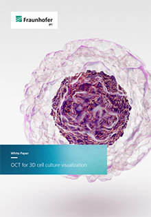 OCT for 3D cell culture visualization