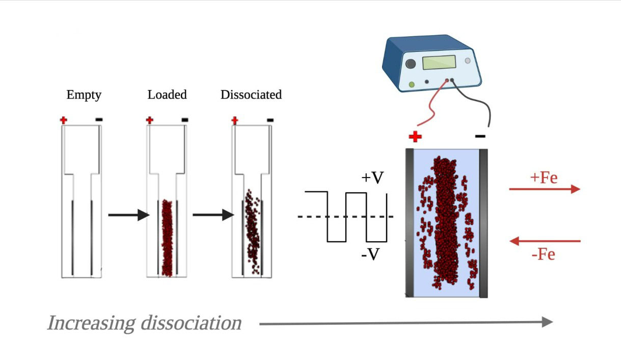 illustration of an innovative tissue dissociation process that uses electricity to efficiently and effectively isolate cells for single-cell analysis and sequencing