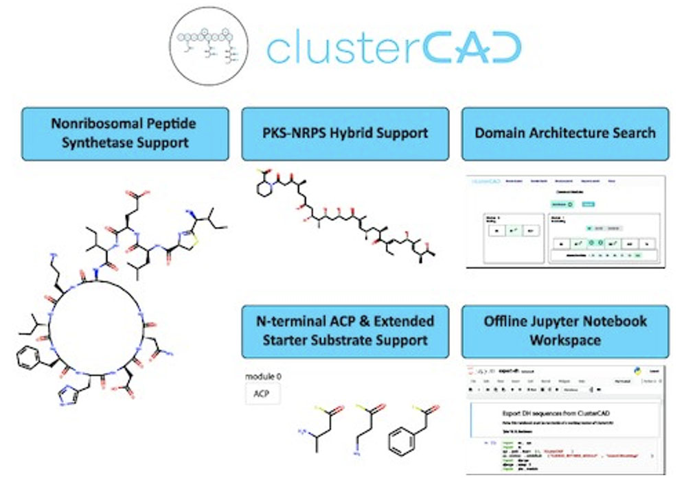 An overview of the new ClusterCAD features